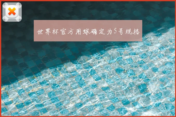 世界杯官方用球确定为5号规格