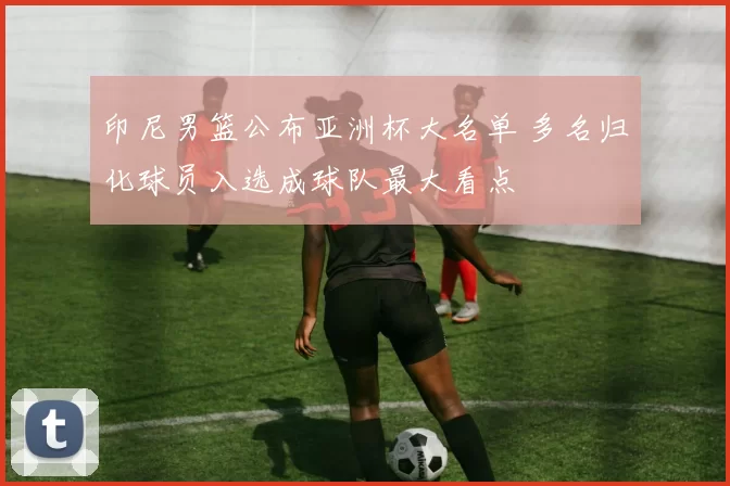 印尼男篮公布亚洲杯大名单 多名归化球员入选成球队最大看点